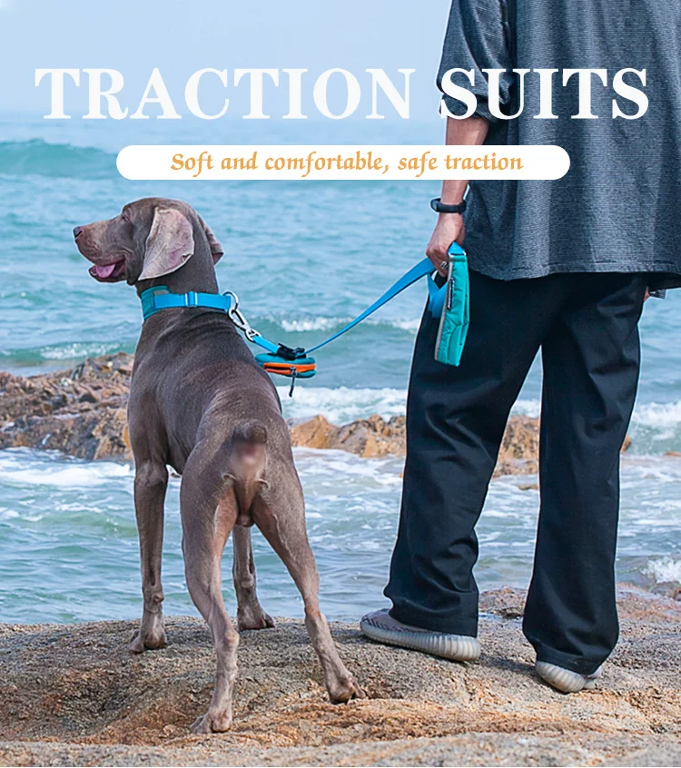 The Source Factory Hot Sale Top Dog Collar Adjustable Fashion Dog