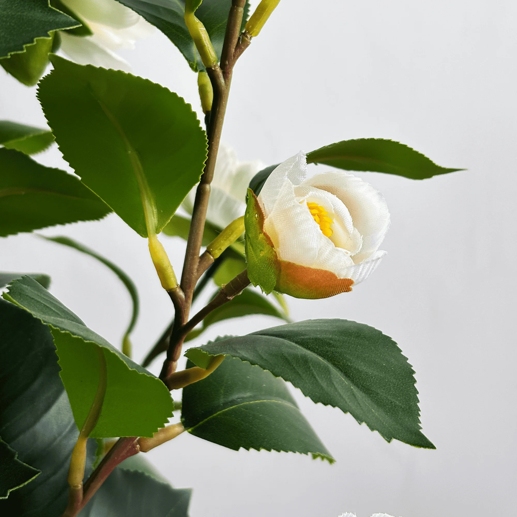 细节图4