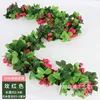 Spring style, 33 rose vines, rose red