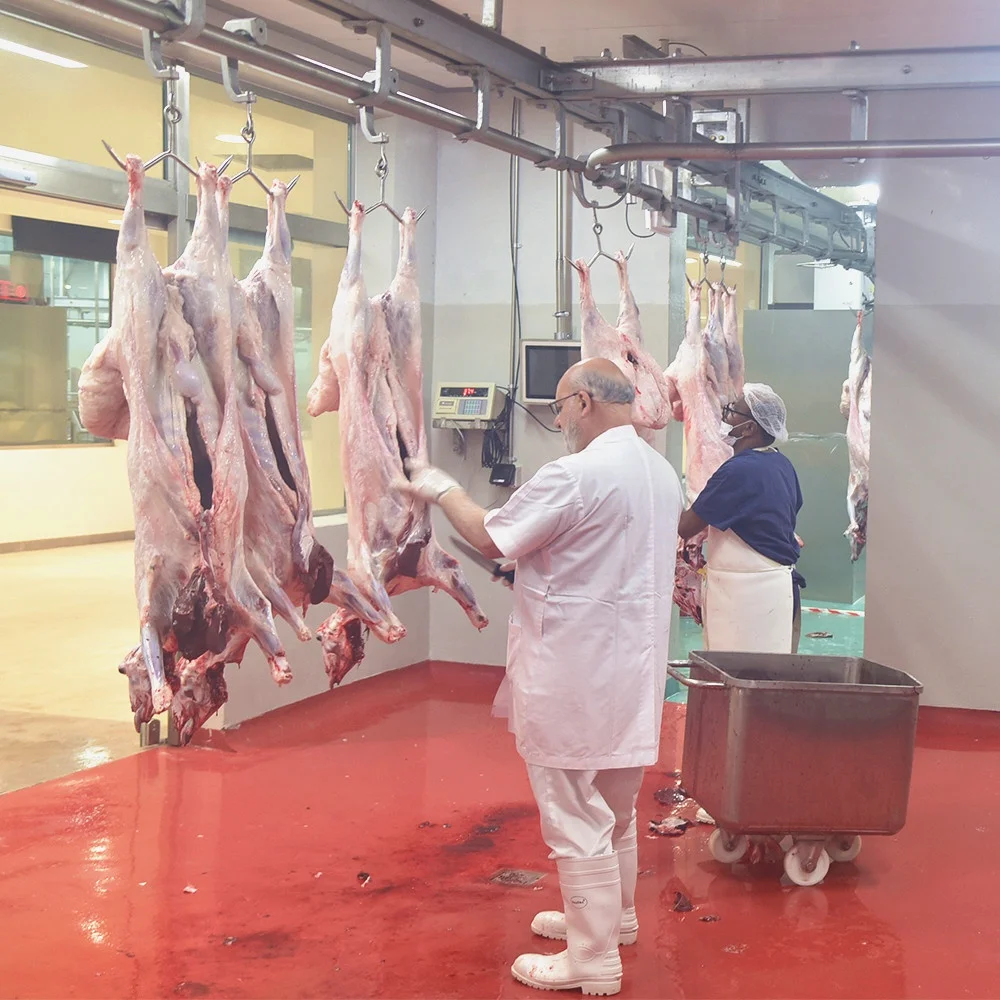 80 heads per hour mutton slaughterhouse equipment and mutton slaughterhouse