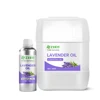 Lavender Essential Oil