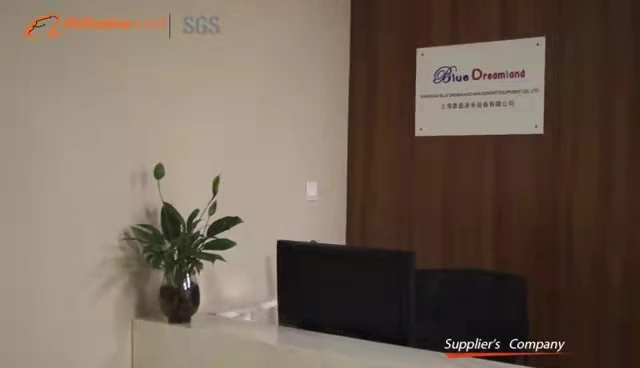 Shanghai Blue Dreamland Amusement Equipment Co., Ltd. 1