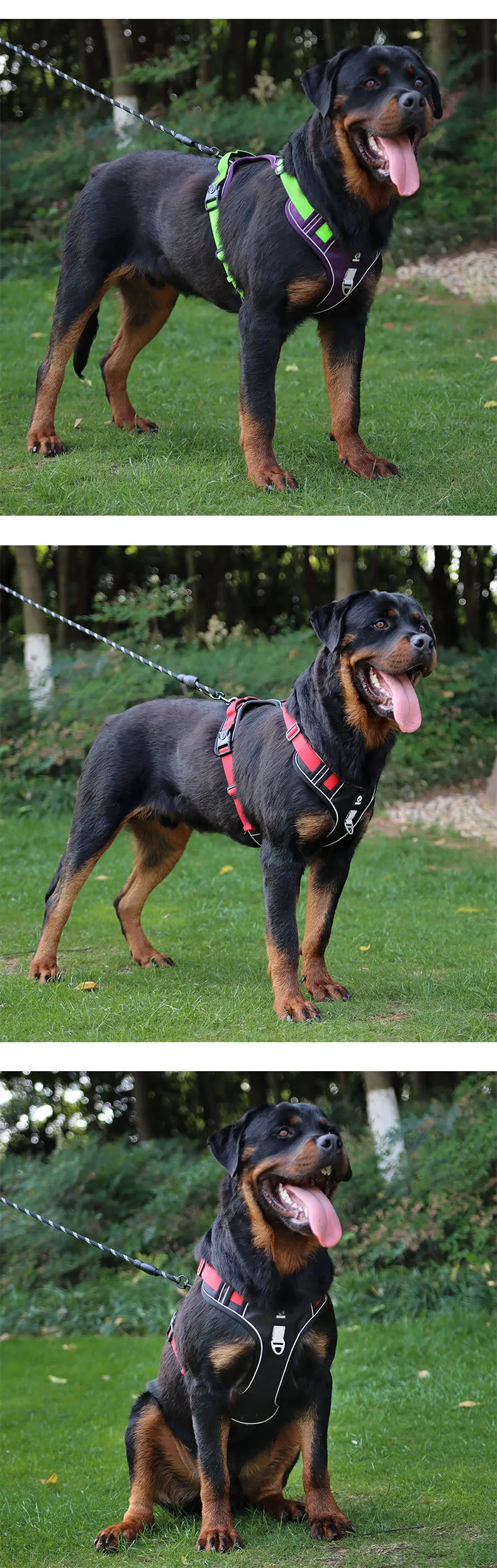 跨境狗皮带防爆冲击手胸背大狗绳反光宠物胸带批发