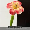 light orange