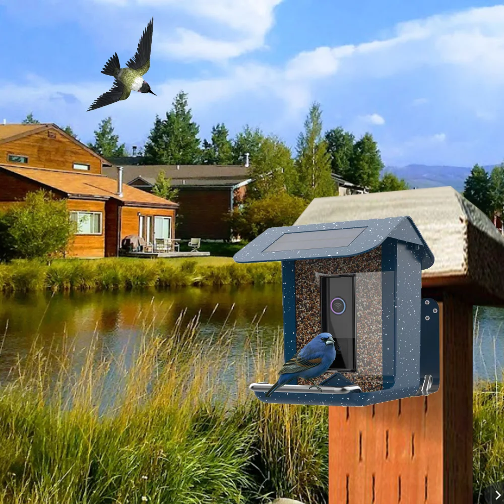 Pinelake Solar Panel Bird Houses And Feeders Flu Feeding Smart Bird