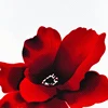 as the picture