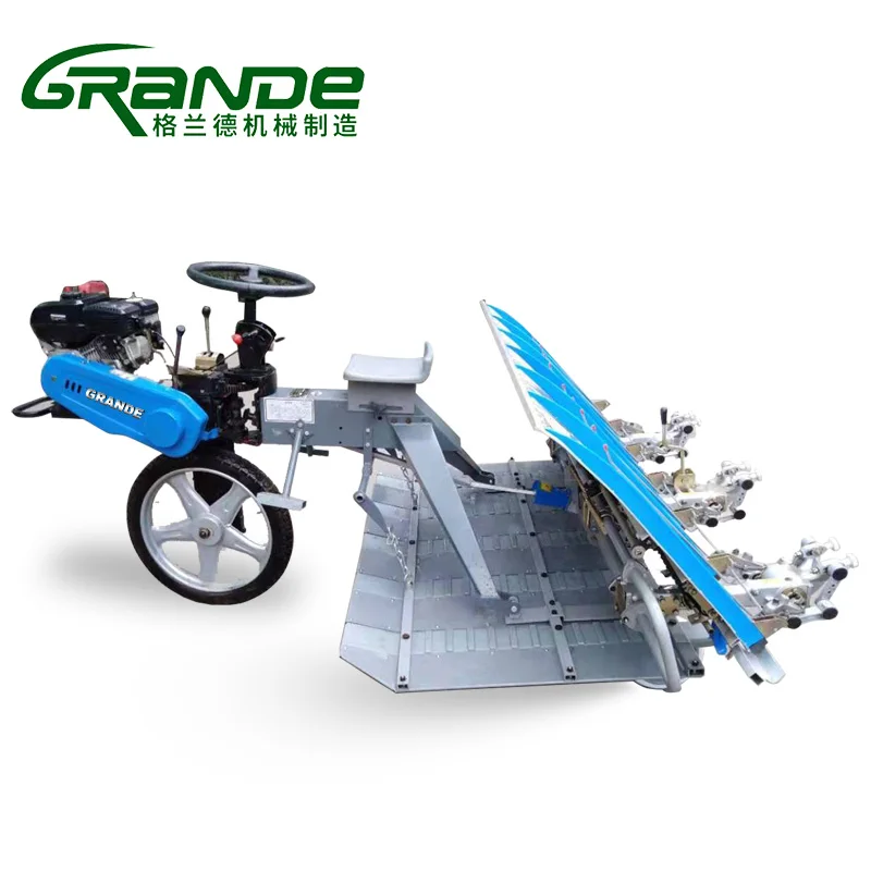 6 Row Riding on Walking Rice Transplanter Paddy Rice Planter Machine