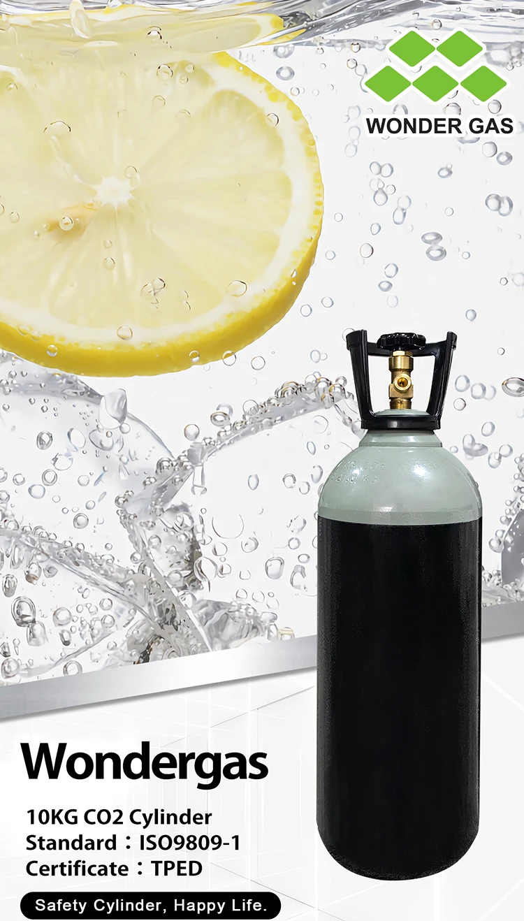 High Pressure Co2 Cylinder Co2 Beer Gas Cylinder With 2.7l 3l 13.4l