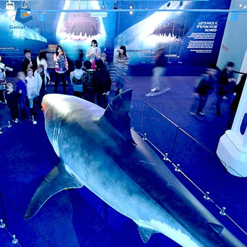 M 宇宙　サメ tst-ll1543.jpg