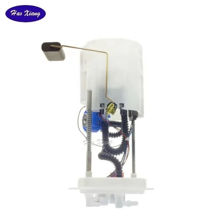 Haoxiang Electric Fuel Pump Assembly 1016004470 for Geely Panda