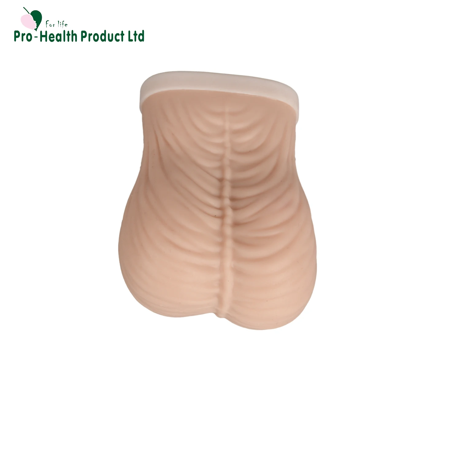 Standard Testicle Self-examination TSE Model| Alibaba.com