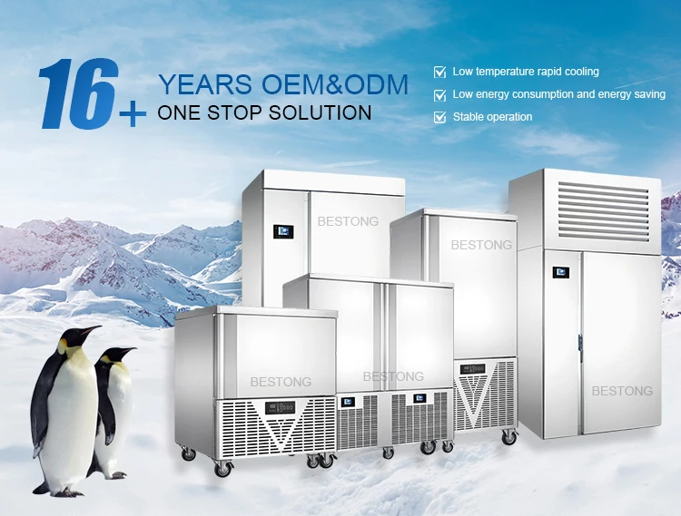 Blast Freezer, 220 V, Stainless Steel - detail 2