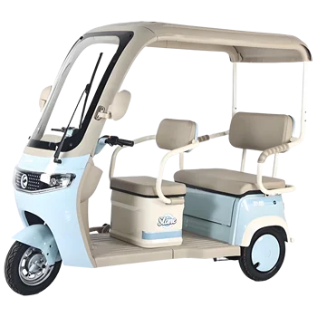 China Wholesale 72v 1000w 3 Wheel Electric Tricycle New Model Adult Tricycle with Roof Cheaper Price