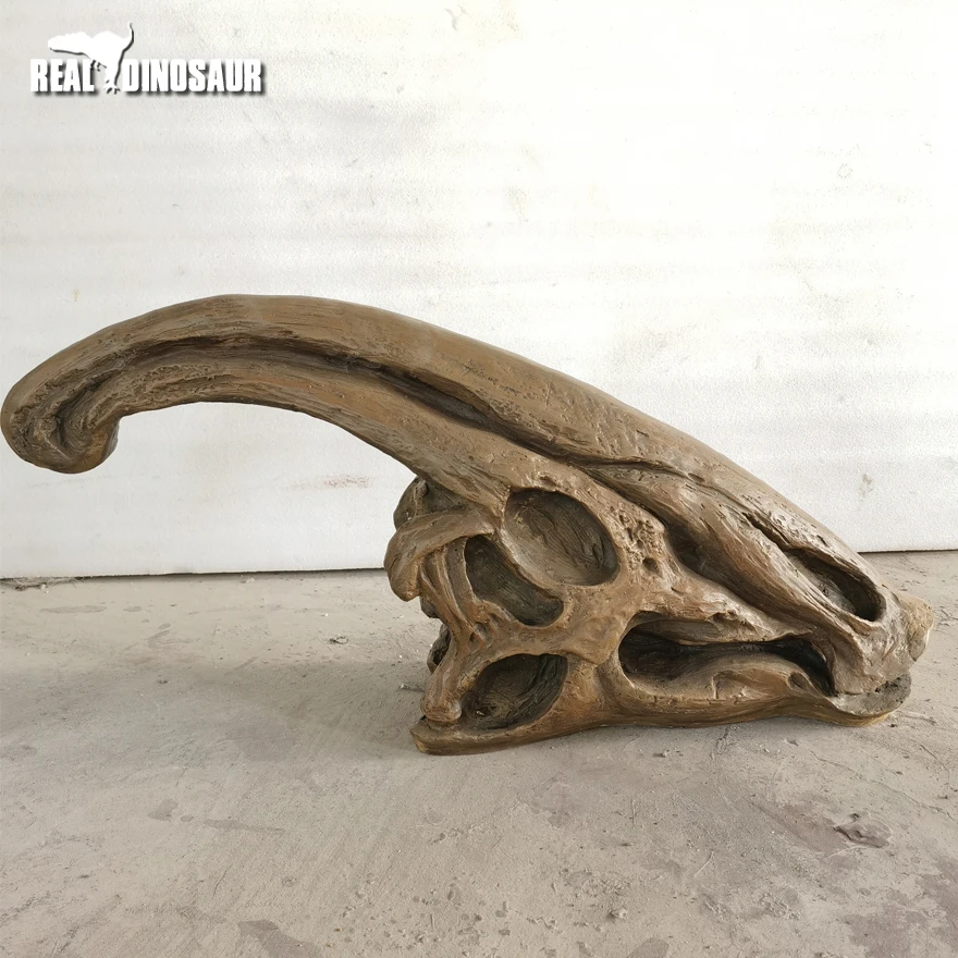 Life Size Fiberglass T-Rex Dinosaur Skulls for House Decoration