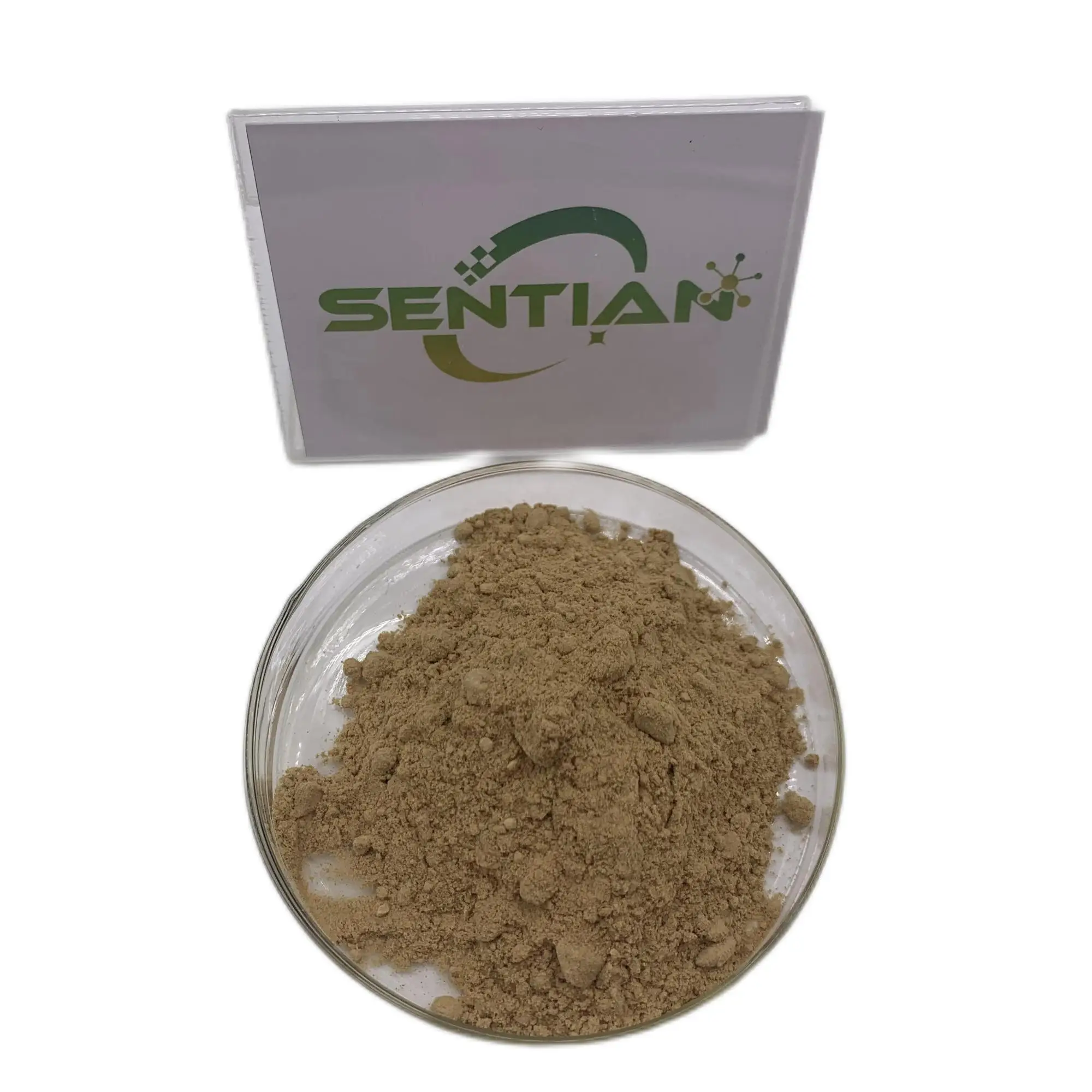 Orchis Spectabilis Powder 10:1 Genus Orchis Extract Orchis Mascula Extract