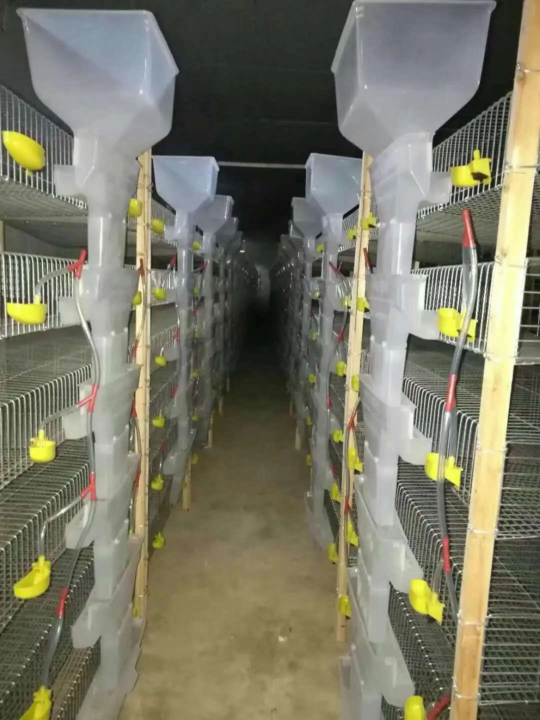 High Quality H Type Automatic Feeding Quail Cage Quail Cages for Egg Production Layer