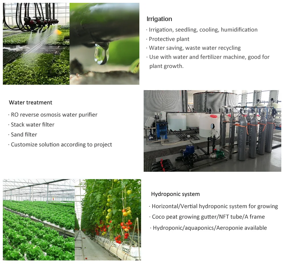 Greenday Winter Worm Passive Solar Chinese Greenhouse Buy Chinese