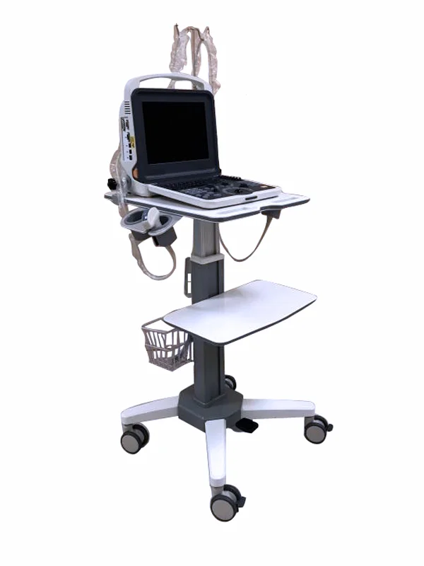 Portable 12 Inch Screen Full Digital Laptop Color Doppler Ultrasound Machine Ultrasonic Diagnostic System for Pet or Human