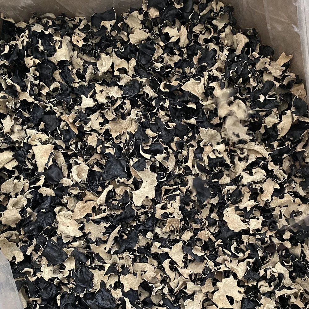 Delicious taste cutted dried black fungus mushrooms