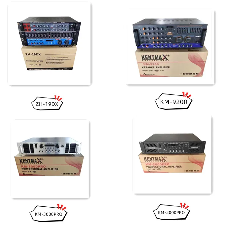 High Quality Amplifier for Swiftlet Farming Real Swallow Tweeter Sound System Amplifier