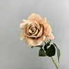 Rosa morandi rosa hidratante de tallo único