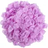 Purple 2