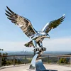 Eagle