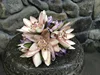 Grigio rosa pallido