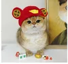God of Wealth Hat