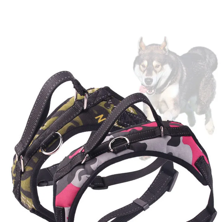 dog walking rope