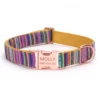 Collar Yellow
