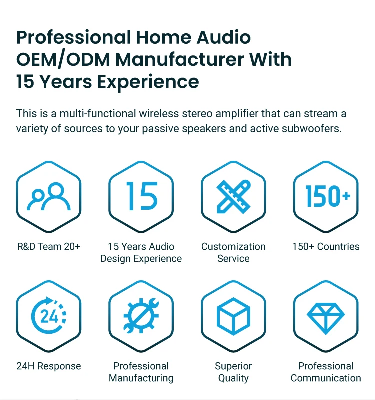 Arylic Amp Plate Subwoofer Plate Amplifier Module Wifi Audio Streaming