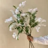 White 3
