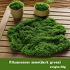 verde oscuro 50g