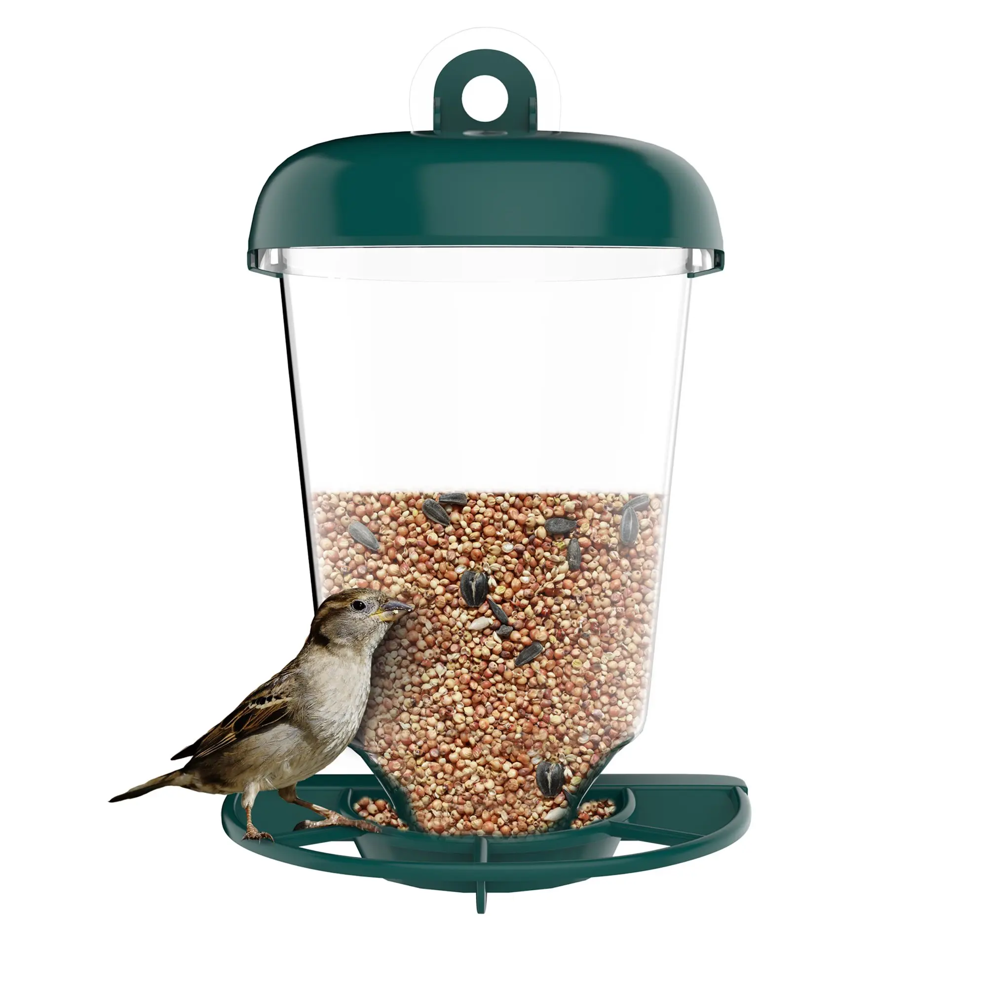 Pure Garden Plastic Acrylic Outdoor Wild Bird Seed Feeder With Hanging
