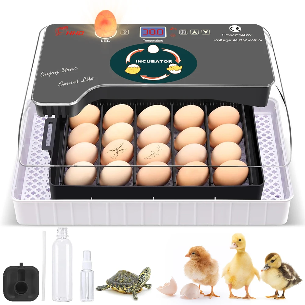 Lampe à Œufs LED Pour Incubateur - Détection Éclosion Poules Canards Oiseaux - USB Et Piles