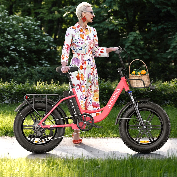 Instant Gratification New Model ENGWE L20 EU Stock 250W Electric Road Bicycle with 20 Inch Fat Tire - Electric Bike - Image 6