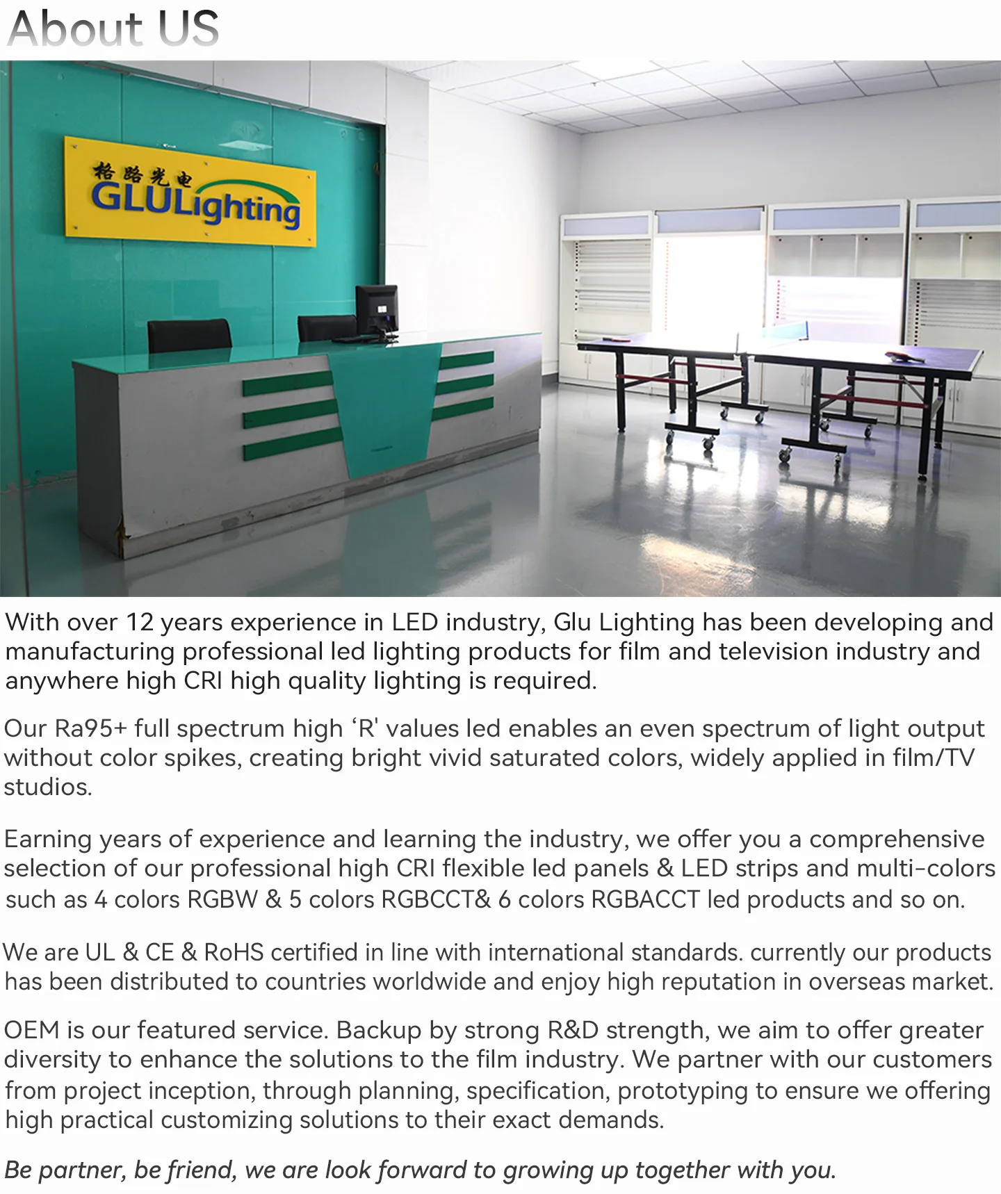 12V 10mm  High CRI Bi-Color LED Strip 2835 240led/m CCT tunable Ra95 led ribbon