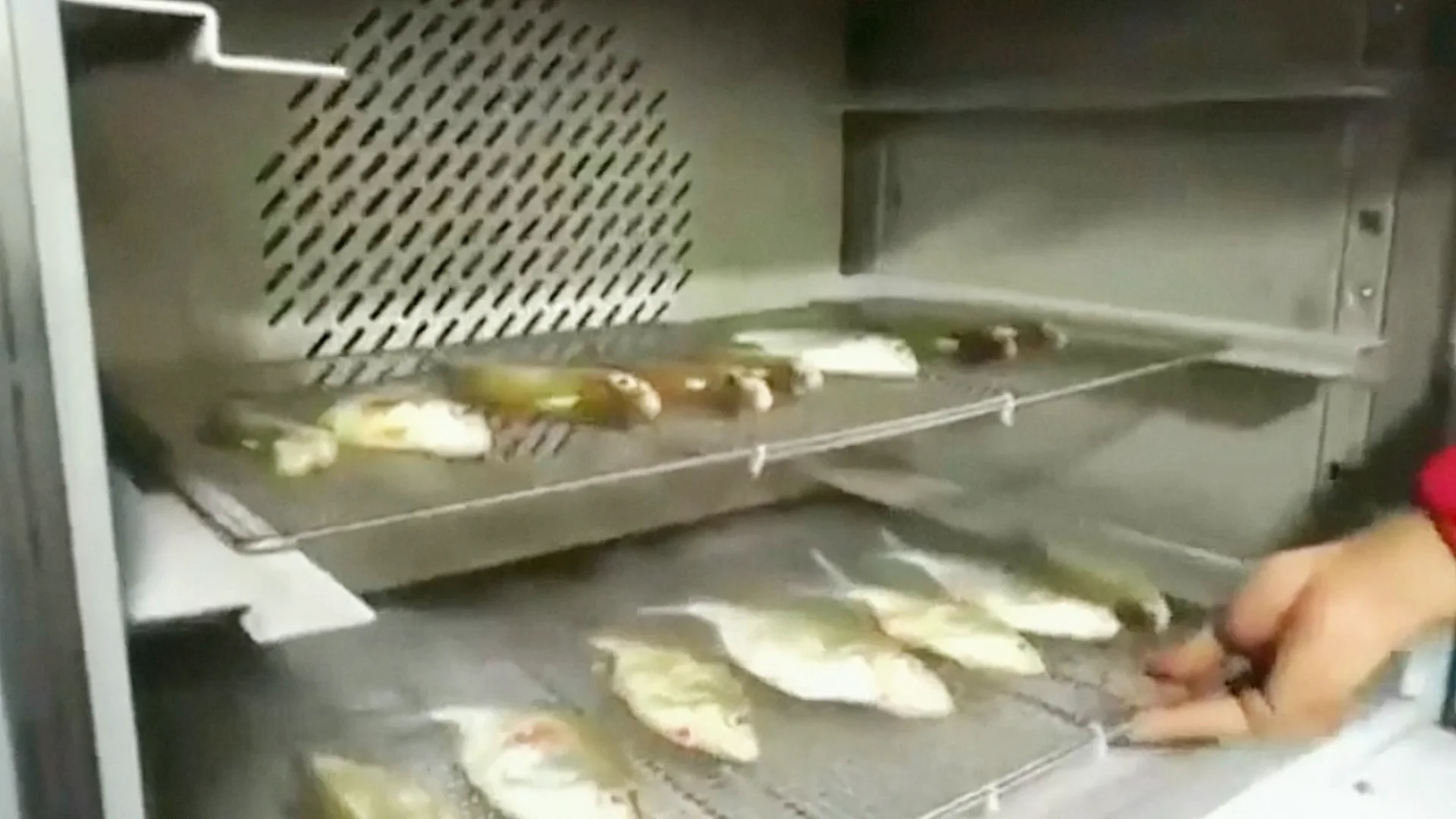 Factory Price Rapid Freezing Commercial Kitchen Freezing Equipment