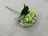 Verde claro