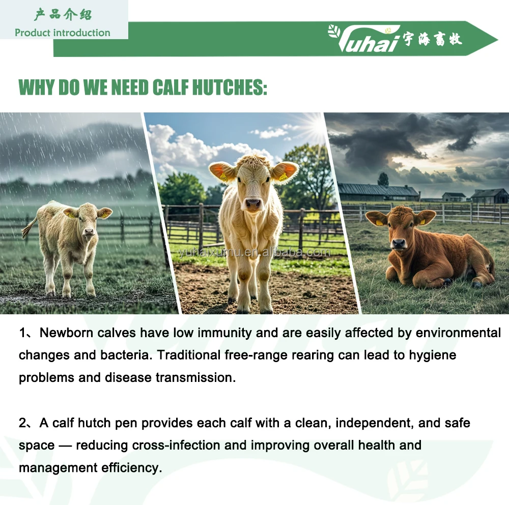 product durable roto molded round calf hutch housing for small animals modular plastic calf pen system for dairy farm calf rearing-0