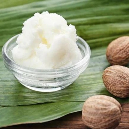 factory made nourishing moisture shea nut shea butter oil with