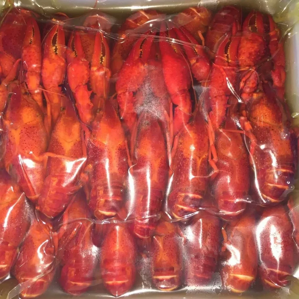 Frozen Whole Round Crayfish / Crawfish For Sale Buy Crayfish,Spicy