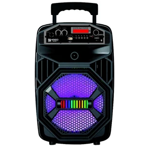 QS-805 new arrival 8inch good quality Rod speaker subwoofer quality sound portbale speaker