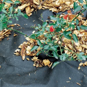 Effective Weed Control Polypropylene Spunbond Nonwoven Fabric for Vegetable Greenhouses PP Nonwoven Garden Supplies