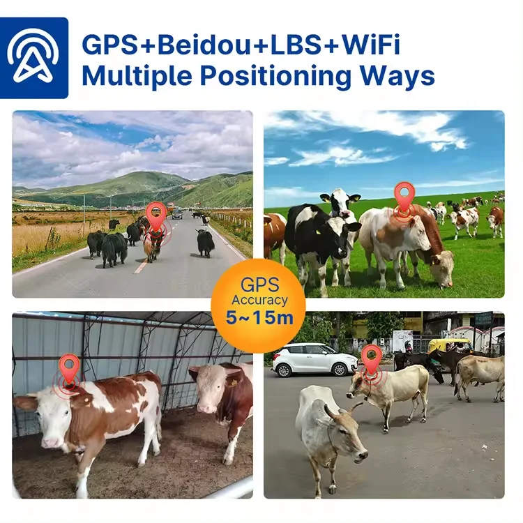 4g 6000mah Solar Powered Animals Cow Sheep Horse Cattle Gps Tracker