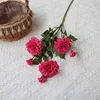 Rosa roja