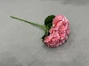 Rosa oscuro
