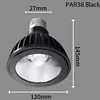Par38 black enclosure kit 30W