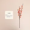 Type b orange red
